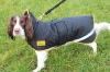 Shires Stormbreaker Dog Coat (RECUCED TO CLEAR)